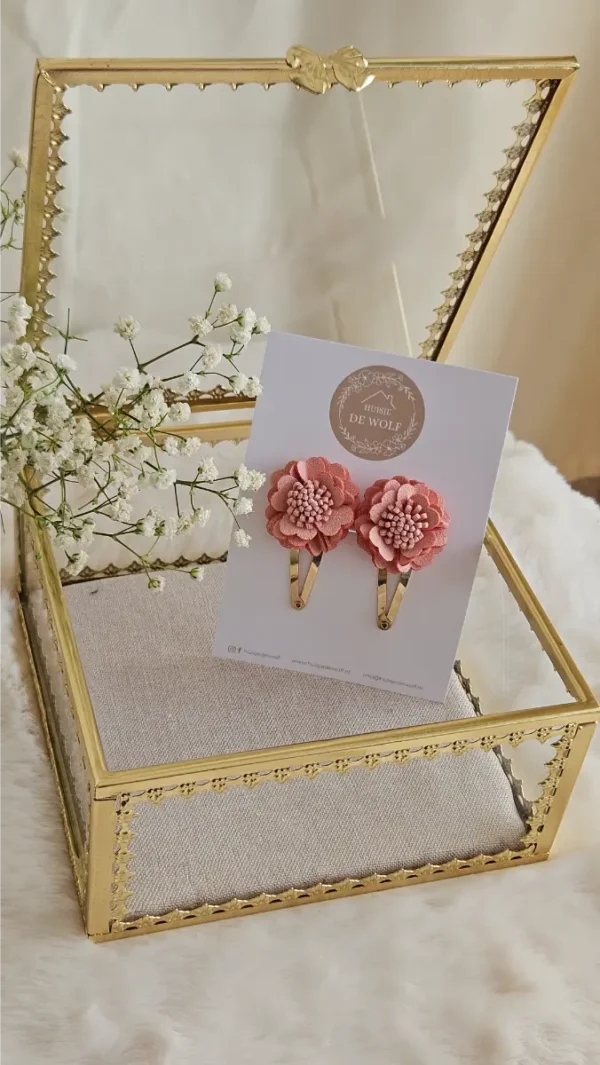 Haarspeldjes Duo Benthe - Roze