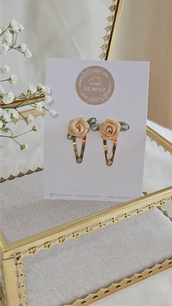 Haarspeldjes Duo Estelle - Goud