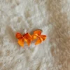 Elastiekjes Bowie - Oranje